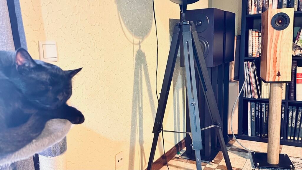 My Cat sleeping next to Azoric Audio Corvo full-range speakers