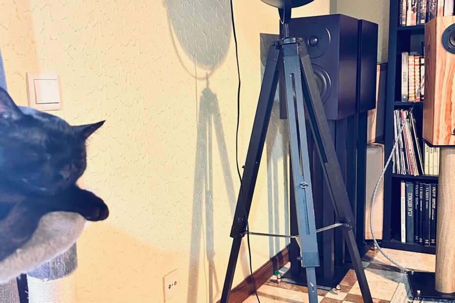 My Cat sleeping next to Azoric Audio Corvo full-range speakers